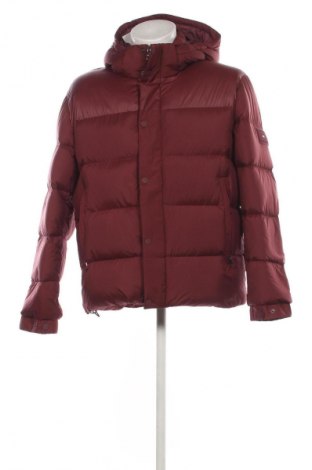 Geacă de bărbati Tommy Hilfiger, Mărime XL, Culoare Roșu, Preț 849,99 Lei