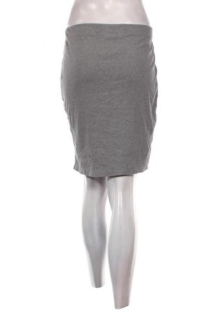 Φούστα Janina, Μέγεθος XL, Χρώμα Γκρί, Τιμή 5,99 €
