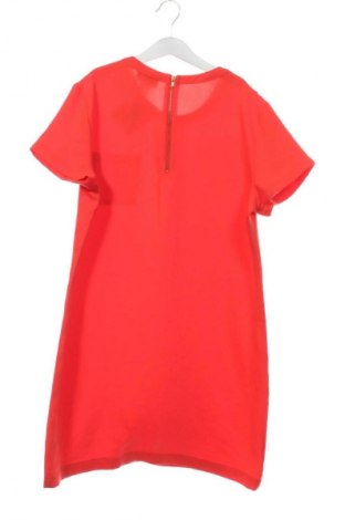 Kleid Adrienne Vittadini, Größe XS, Farbe Rot, Preis € 67,54