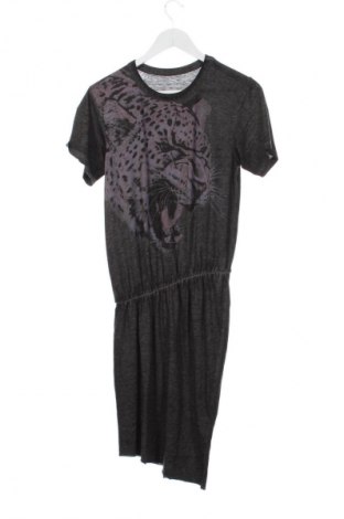 Šaty  AllSaints, Veľkosť XS, Farba Sivá, Cena  53,95 €