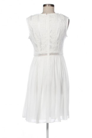 Kleid Apart, Größe M, Farbe Ecru, Preis 34,99 €