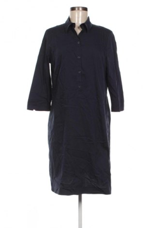 Kleid Betty Barclay, Größe M, Farbe Blau, Preis 22,99 €