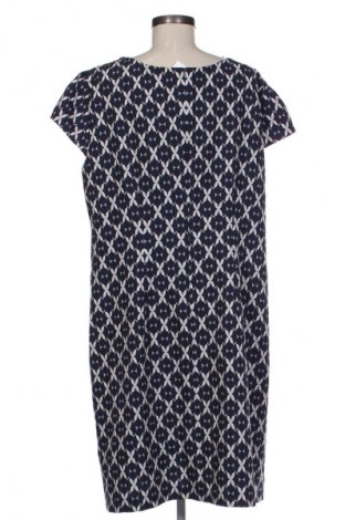Sukienka Betty Barclay, Rozmiar XXL, Kolor Kolorowy, Cena 250,99 zł