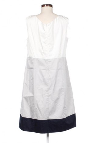 Šaty  Comma,, Veľkosť XL, Farba Viacfarebná, Cena  42,00 €