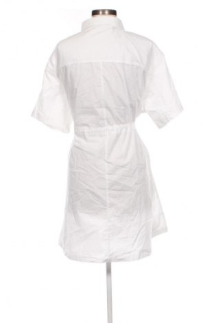 Sukienka Esprit, Rozmiar XXL, Kolor Kolorowy, Cena 355,99 zł