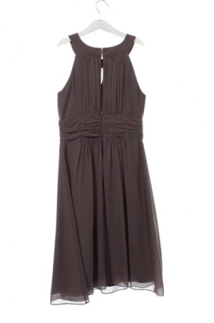Φόρεμα Jake*s, Μέγεθος XS, Χρώμα Καφέ, Τιμή 28,00 €