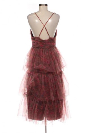 Šaty  Lace & Beads, Velikost L, Barva Vícebarevné, Cena  1 579,00 Kč