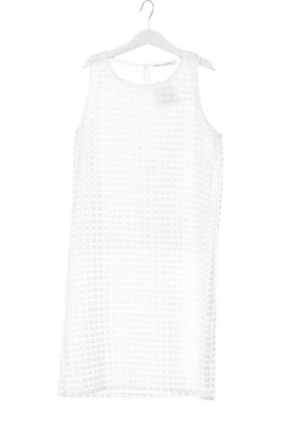 Kleid Mango, Größe XS, Farbe Weiß, Preis € 17,39