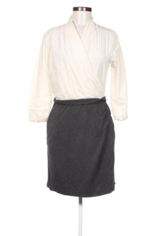 Kleid Mango, Größe L, Farbe Mehrfarbig, Preis 17,39 €