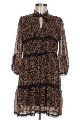 Φόρεμα NEW COLLECTION, Μέγεθος L, Χρώμα Πολύχρωμο, Τιμή 12,99 €