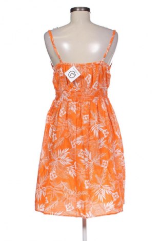 Φόρεμα Papaya, Μέγεθος M, Χρώμα Πολύχρωμο, Τιμή 12,99 €