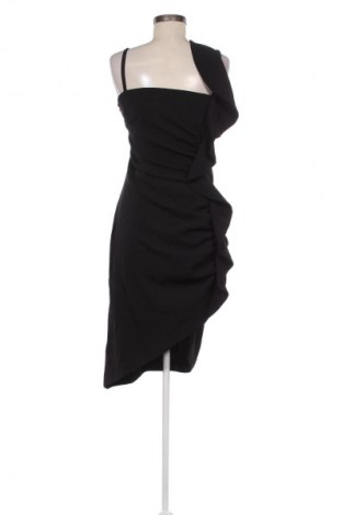 Kleid Pinko, Größe S, Farbe Schwarz, Preis € 95,79