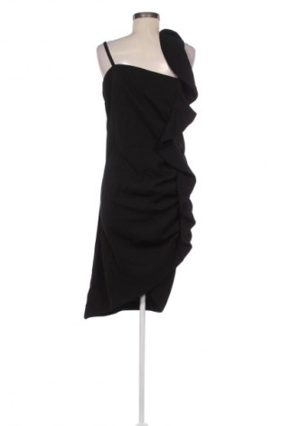 Kleid Pinko, Größe S, Farbe Schwarz, Preis € 95,79