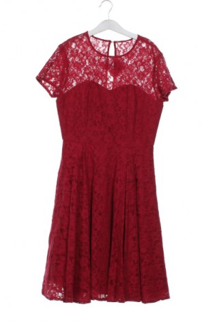 Kleid Silvian Heach, Größe XS, Farbe Rot, Preis 33,99 €
