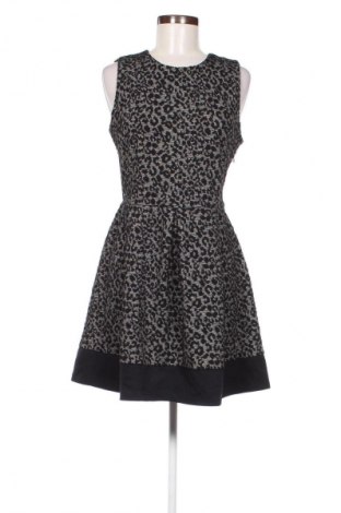 Kleid Stradivarius, Größe L, Farbe Mehrfarbig, Preis € 14,99
