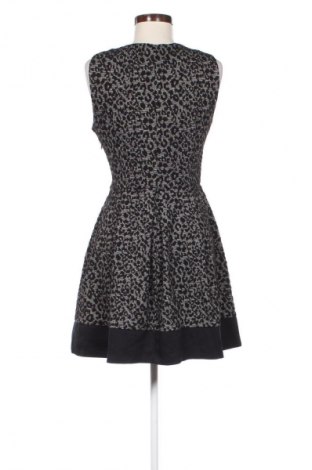Kleid Stradivarius, Größe L, Farbe Mehrfarbig, Preis € 14,99