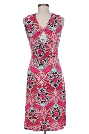 Kleid Sweet Miss, Größe L, Farbe Mehrfarbig, Preis € 22,99