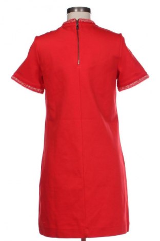 Kleid Ted Baker, Größe M, Farbe Rot, Preis € 171,87