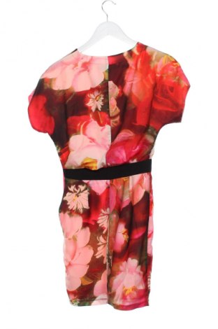 Kleid Ted Baker, Größe S, Farbe Mehrfarbig, Preis 80,28 €