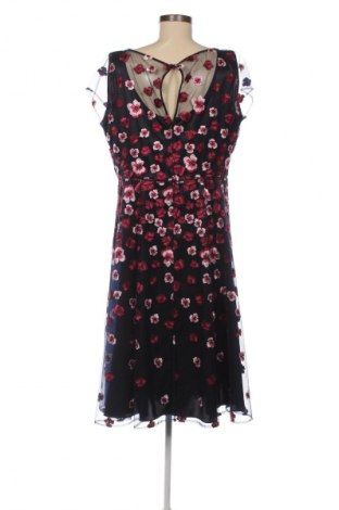Φόρεμα Vera Mont, Μέγεθος XL, Χρώμα Πολύχρωμο, Τιμή 66,00 €