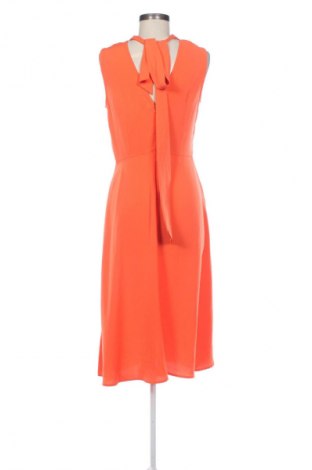 Kleid Warehouse, Größe M, Farbe Orange, Preis 24,55 €