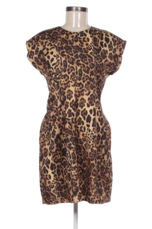 Kleid Zara, Größe L, Farbe Mehrfarbig, Preis 14,00 €