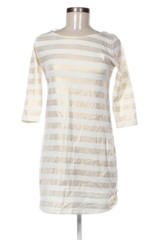 Kleid Zara, Größe M, Farbe Mehrfarbig, Preis € 8,99