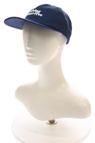 Mütze Review, Farbe Blau, Preis € 26,99