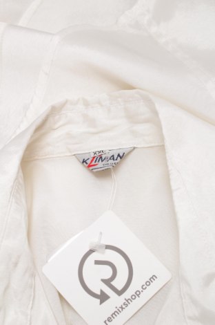 Γυναικείο πουκάμισο, Μέγεθος XL, Χρώμα Λευκό, Τιμή 19,59 €