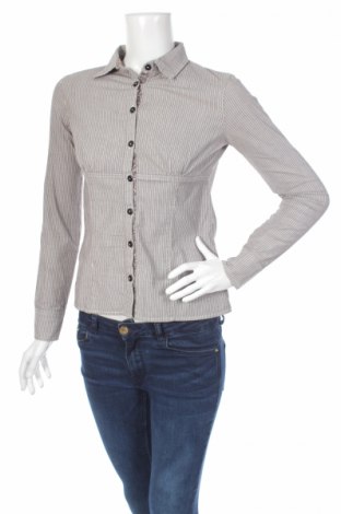 Γυναικείο πουκάμισο Terranova, Μέγεθος S, Χρώμα Γκρί, Τιμή 14,95 €