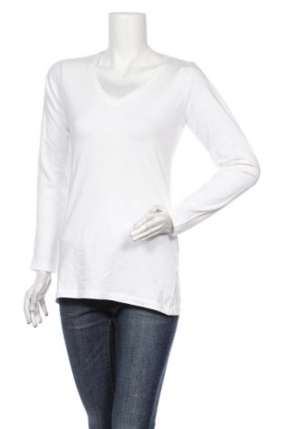 Damen Shirt Zeeman, Größe L, Farbe Weiß, 95% Baumwolle, 5% Elastan, Preis 16,28 €