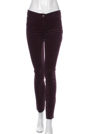 Damskie spodnie Zero, Rozmiar S, Kolor Fioletowy, 98% bawełna, 2% elastyna, Cena 159,32 zł
