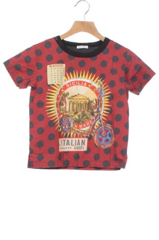 Kinder T-Shirt Dolce & Gabbana, Größe 4-5y/ 110-116 cm, Farbe Mehrfarbig, Baumwolle, Preis 35,49 €