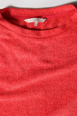 Γυναικεία μπλούζα Clockhouse, Μέγεθος XS, Χρώμα Κόκκινο, Τιμή 2,59 €