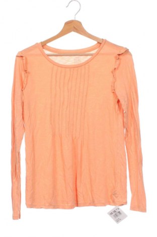 Damen Shirt, Größe XS, Farbe Orange, Preis € 1,99