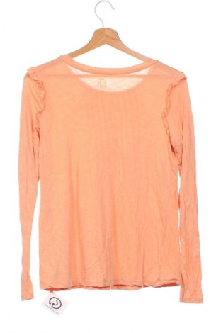 Damen Shirt, Größe XS, Farbe Orange, Preis € 1,99