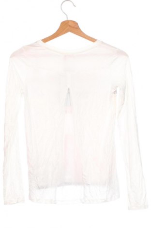 Damen Shirt Bershka, Größe XS, Farbe Weiß, Preis 15,84 €