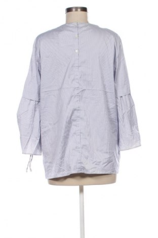 Damen Shirt Betty Barclay, Größe XL, Farbe Mehrfarbig, Preis € 8,99