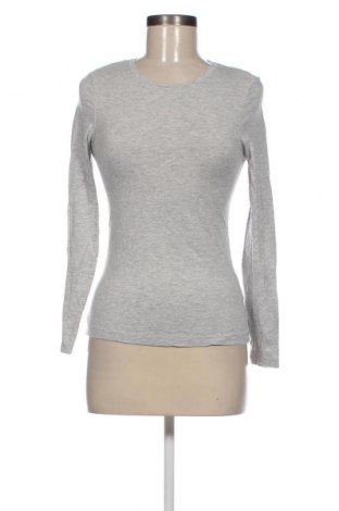 Damen Shirt Blue Motion, Größe S, Farbe Grau, Preis € 2,49