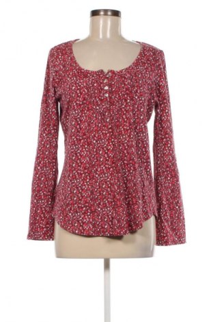 Damen Shirt Bpc Bonprix Collection, Größe L, Farbe Mehrfarbig, Preis 9,62 €