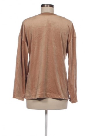 Damen Shirt C&A, Größe S, Farbe Braun, Preis 6,49 €