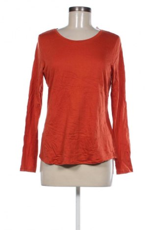 Damen Shirt Calida, Größe S, Farbe Orange, Preis 33,40 €