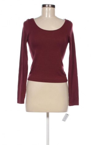 Damen Shirt Calvin Klein, Größe S, Farbe Rot, Preis € 39,99