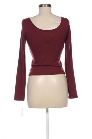 Damen Shirt Calvin Klein, Größe S, Farbe Rot, Preis € 43,99