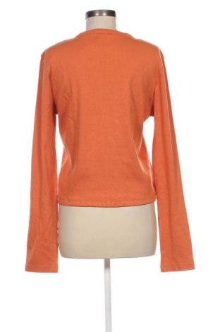 Damen Shirt Calvin Klein Jeans, Größe XL, Farbe Orange, Preis 31,49 €