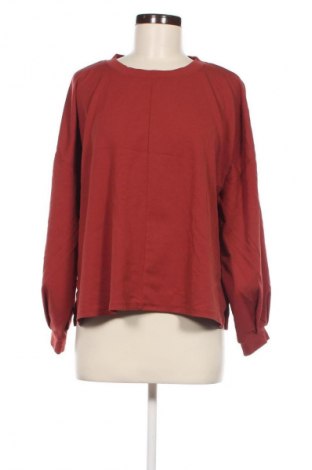 Damen Shirt Colloseum, Größe M, Farbe Braun, Preis 2,99 €