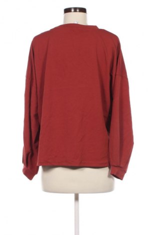 Damen Shirt Colloseum, Größe M, Farbe Braun, Preis € 2,99