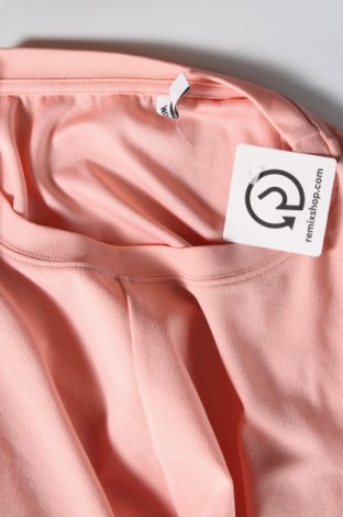 Damen Shirt Colloseum, Größe XL, Farbe Rosa, Preis € 4,99