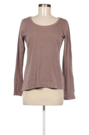 Damen Shirt Colours Of The World, Größe L, Farbe Beige, Preis € 3,99