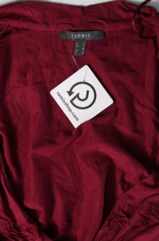 Damen Shirt Esprit, Größe S, Farbe Rot, Preis 3,99 €